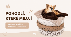 Kulaté pelíšky pro psy: Pohodlí, které si zamilují