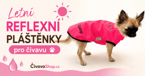 Letní reflexní pláštěnky pro čivavu – bezpečí i pohodlí během každé letní přeháňky