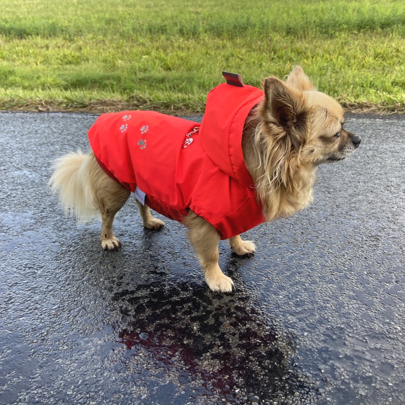 Zateplená pláštěnka pro psa – jaro/podzim, reflexní červená 🌧️🦺