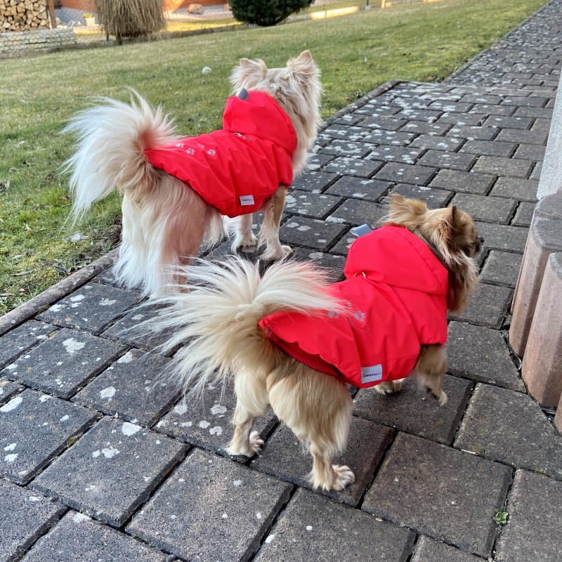 Zateplená pláštěnka pro psa – jaro/podzim, reflexní červená 🌧️🦺