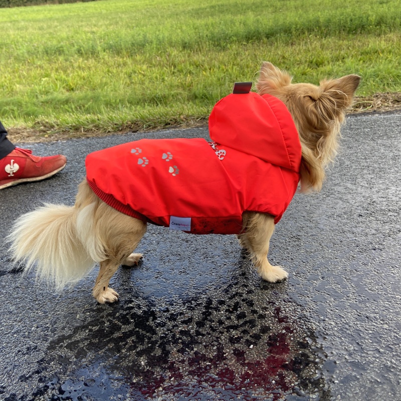 Zateplená pláštěnka pro psa – jaro/podzim, reflexní červená 🌧️🦺