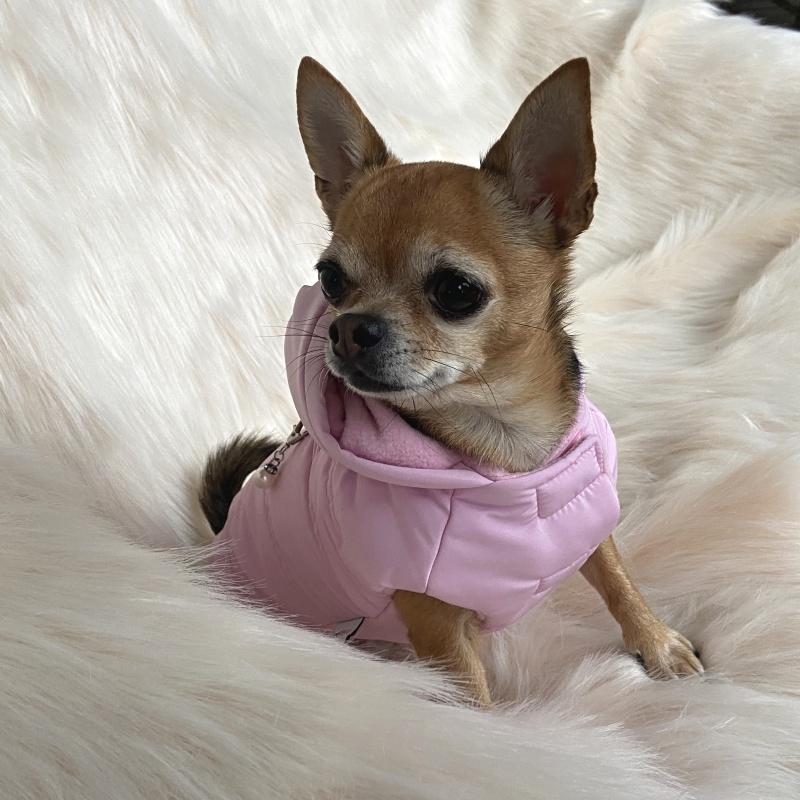 Zimní obleček pro štěně Betynka baby růžový