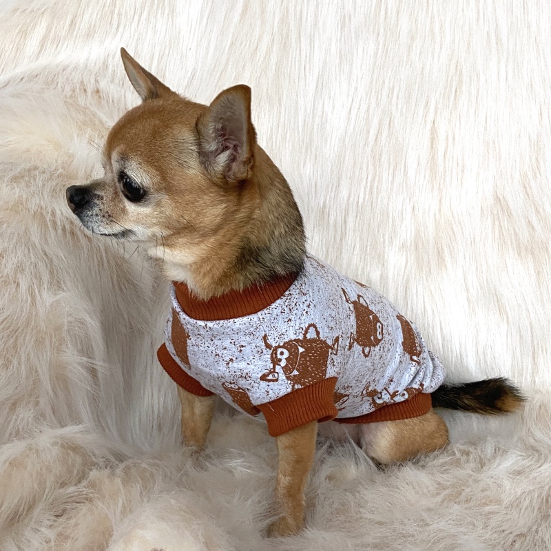 Tepláková mikina – ideální spodní zateplovací vrstva pod zimní obleček- šedá s potiskem