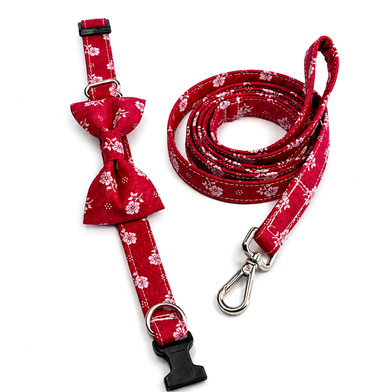 Obojek s mašličkou a vodítko pro psy Arteaga červené kytičky