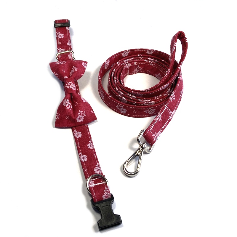 Obojek s mašličkou a vodítko pro psy Arteaga červené kytičky