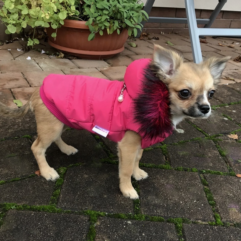 Zimní obleček pro psa s kožešinou růžový Lilly