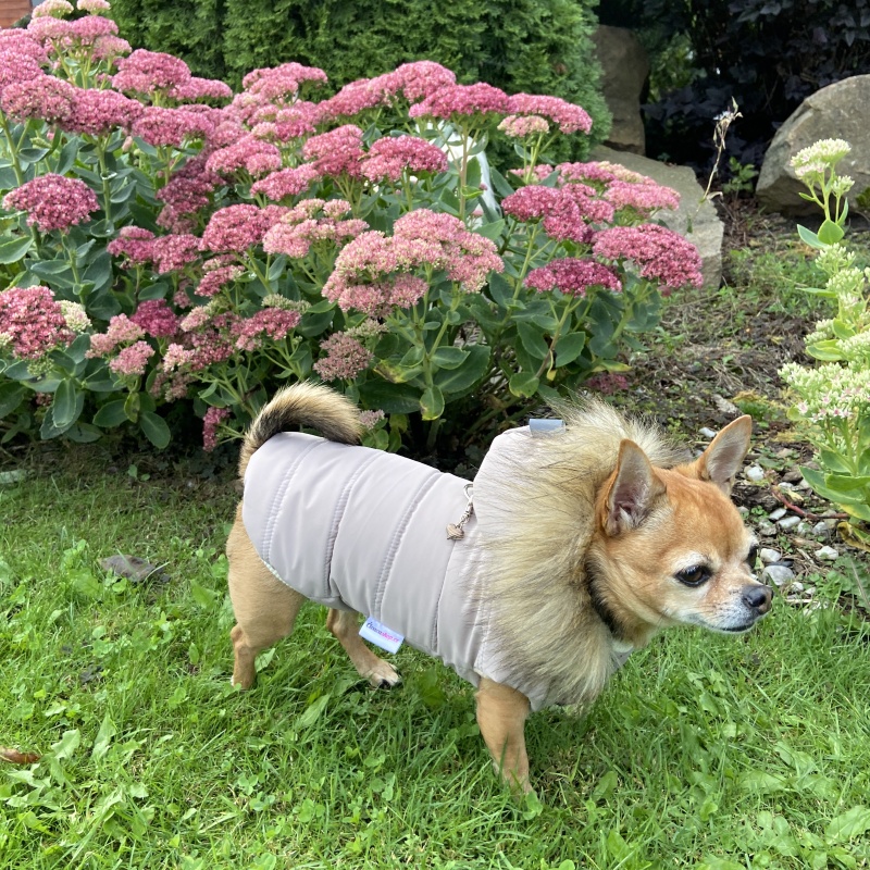 Zimní obleček pro psa s kožešinou bílá káva