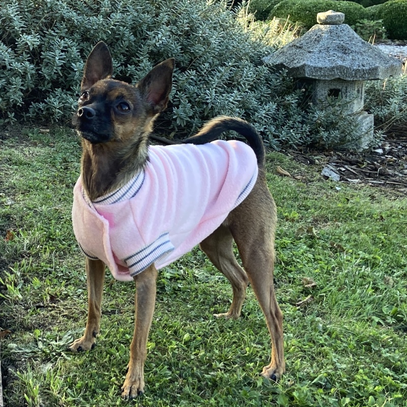 Fleecová mikina pro psa Cezar, jemná broskev