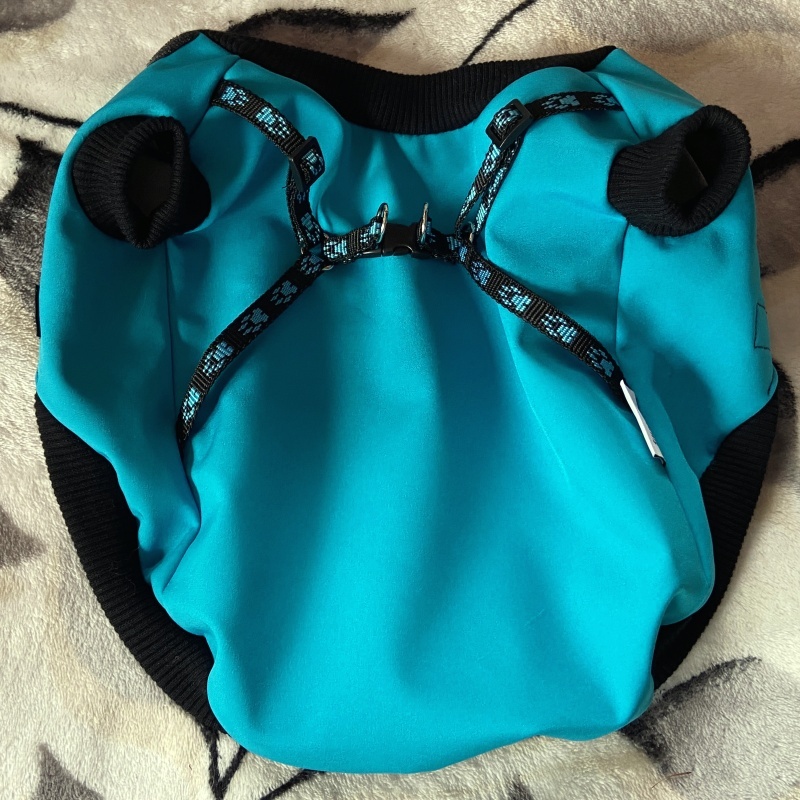 Funkční pláštěnka pro psa zimní softshell tyrkys s kšírami