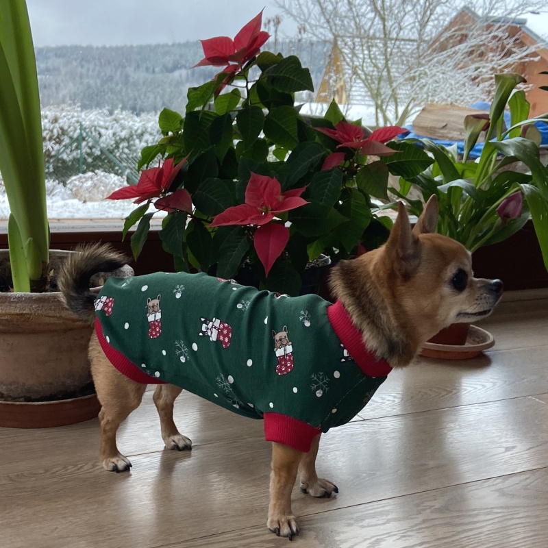 Vánoční obleček na míru – tričko pro psa, zelené