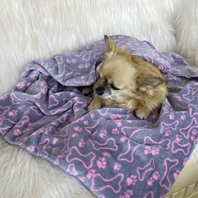 Deka pro malého psa 80x80, šedá kostičky