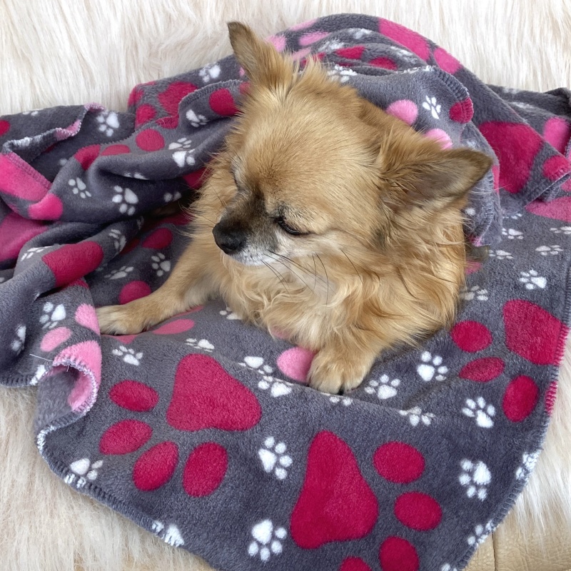 Fleecová deka pro malé psy – šedá s růžovými tlapkami (75x75 cm)