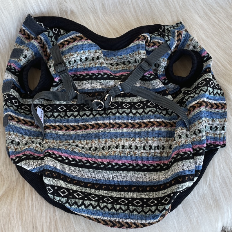 Jarní pruhovaný svetr pro psa se všitými kšírkami Alex🌸🐾