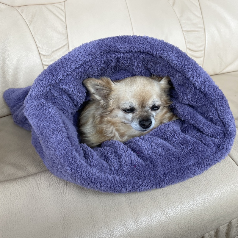 Huňatý pelíšek Tulipytlík TEDDY – levandulový sen (45 × 55 cm)