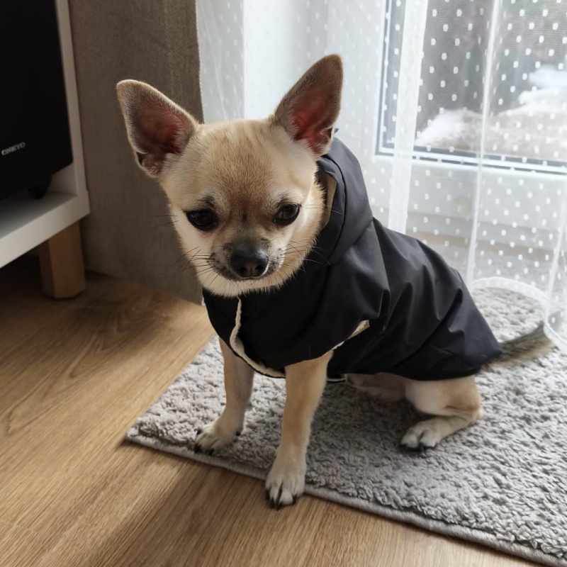 Celoroční šusťákovka pro psa Valbuena, černá