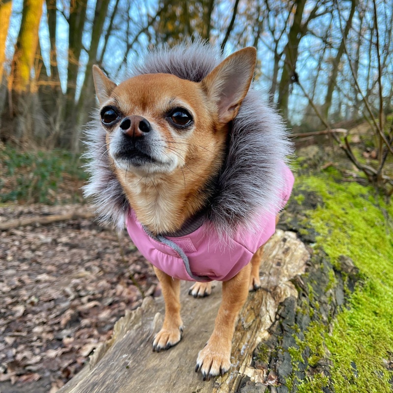 Obleček pro psa s kožešinou Maria pastelově starorůžový