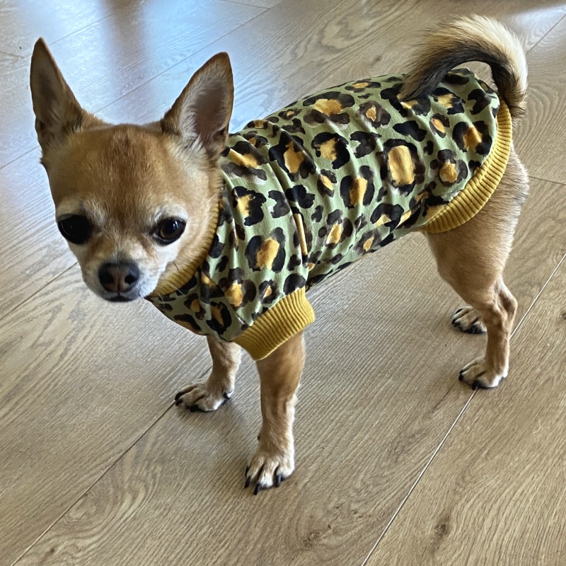 Tričko pro psa Apolonia zelené