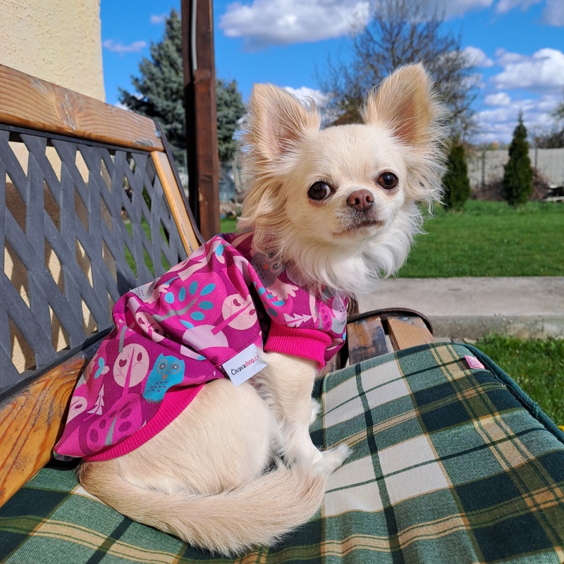 Softshellka Juliete růžová