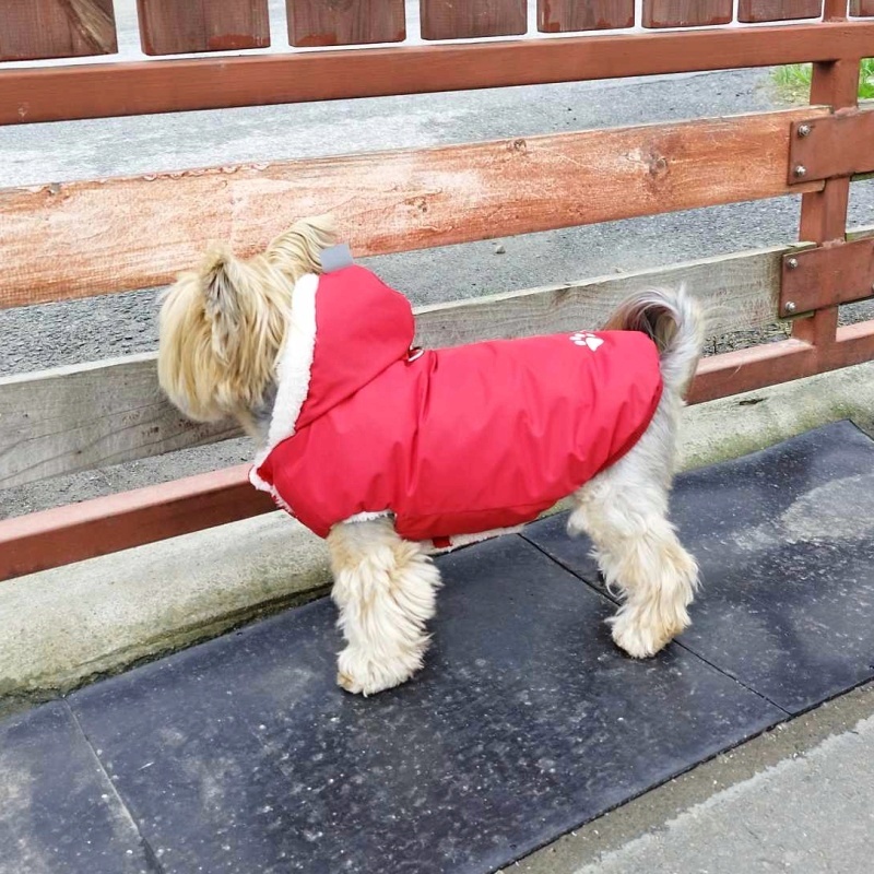 Kožíšek pro malé psy, Keliška červený