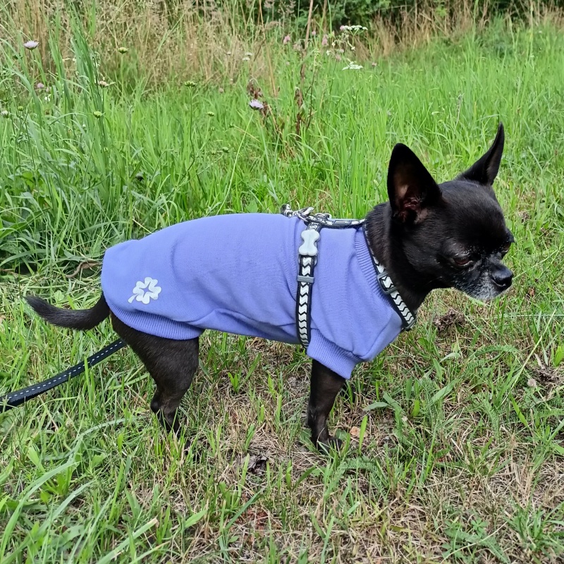 Bavlněná tepláková mikina pro psa Camila, Very Pery