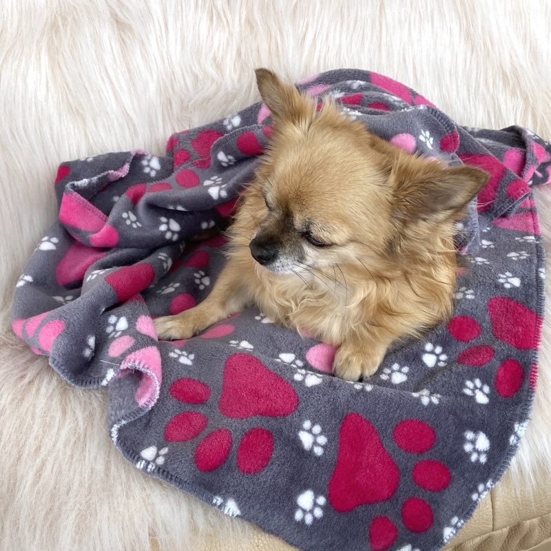 Fleecová deka pro malé psy – šedá s růžovými tlapkami (75x75 cm)