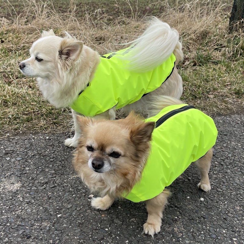 Reflexní jarní bunda pro psa se zipem Bard, neon žlutá