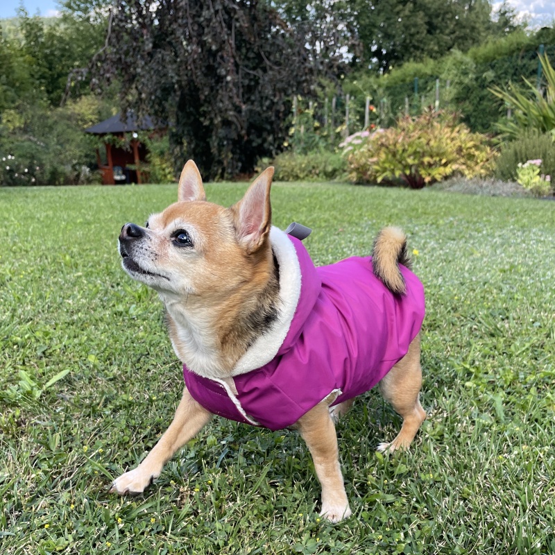 Celoroční šusťákovka s beránkem šitá na míru- fuchsie