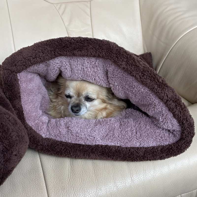 Huňatý pelíšek Tulipytlík TEDDY – hnědostarorůžový sen (45 × 55 cm)