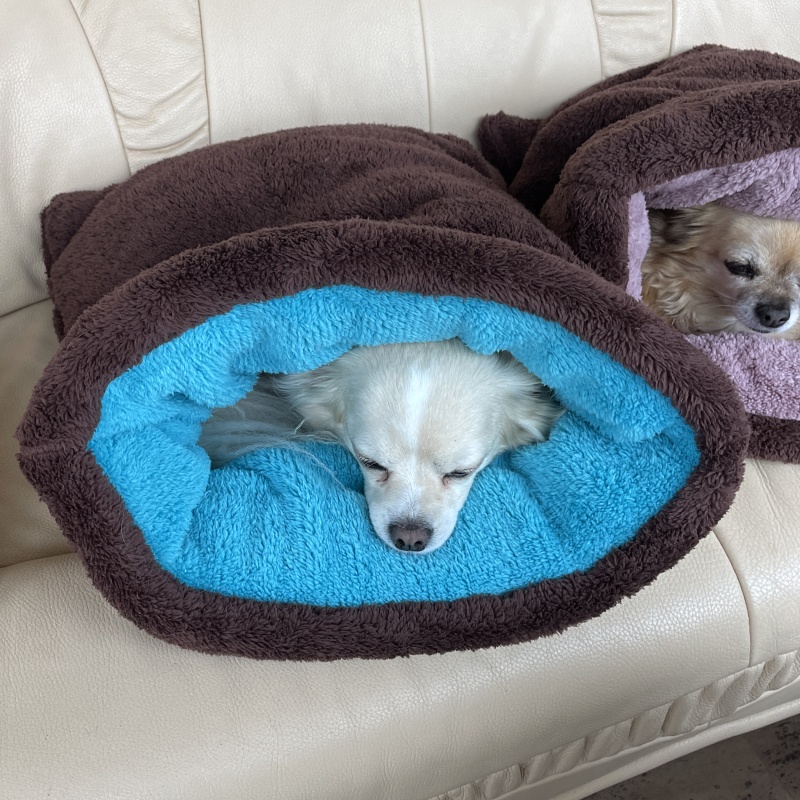 Huňatý pelíšek Tulipytlík TEDDY – hnědotyrkysový sen (45 × 55 cm)