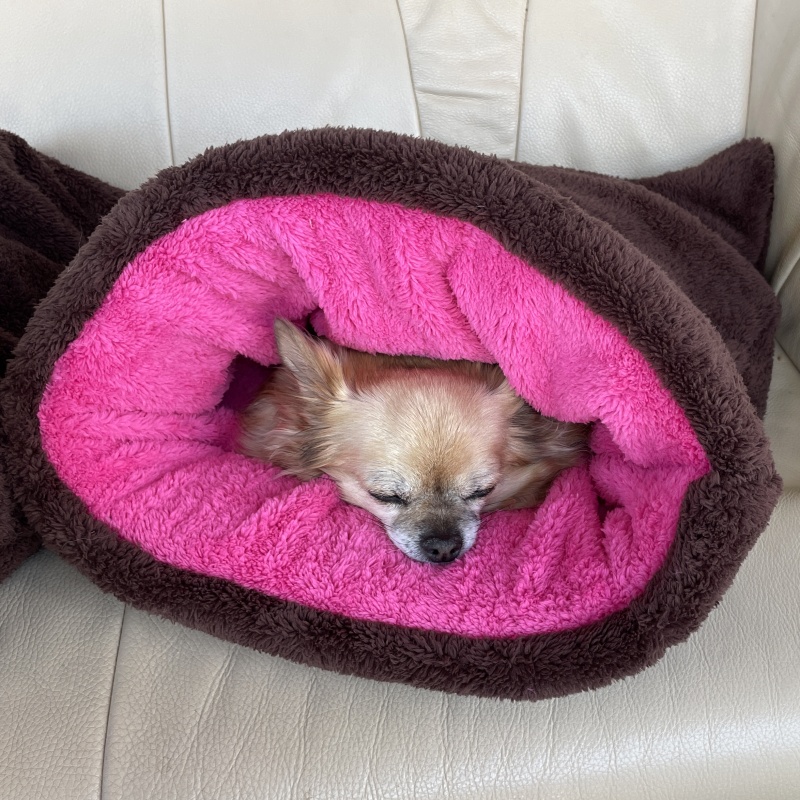 Huňatý pelíšek Tulipytlík TEDDY – hnědomagentový sen (45 × 55 cm)