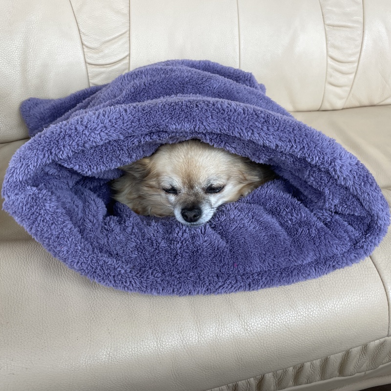 Huňatý pelíšek Tulipytlík TEDDY – levandulový sen (45 × 55 cm)