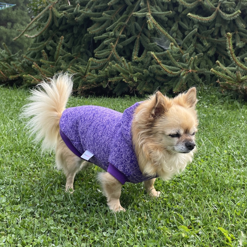 Svetr pro psa – fialový melír s kapucí