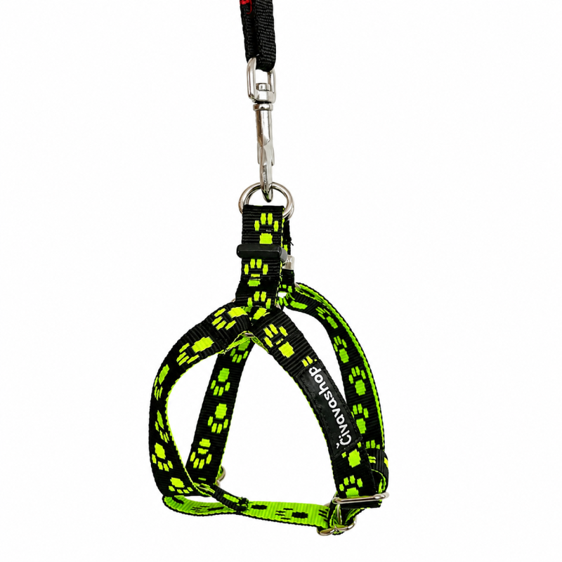 Popruhový postroj pro malá plemena s váhou 2–3,5 kg, neon zelený