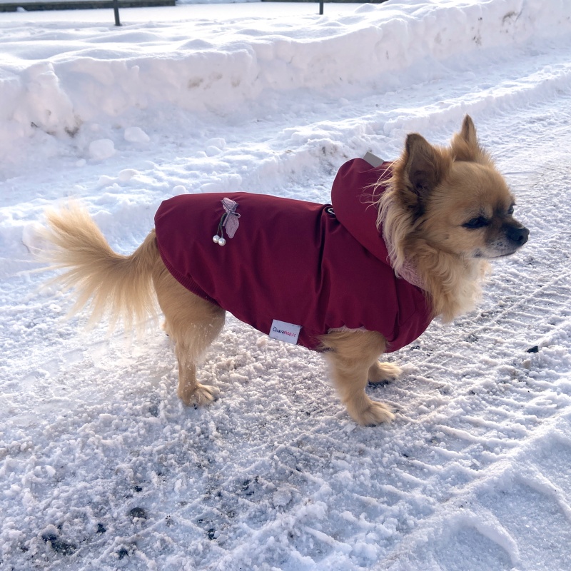Luxusní pláštěnka/kožíšek pro psa, bordová