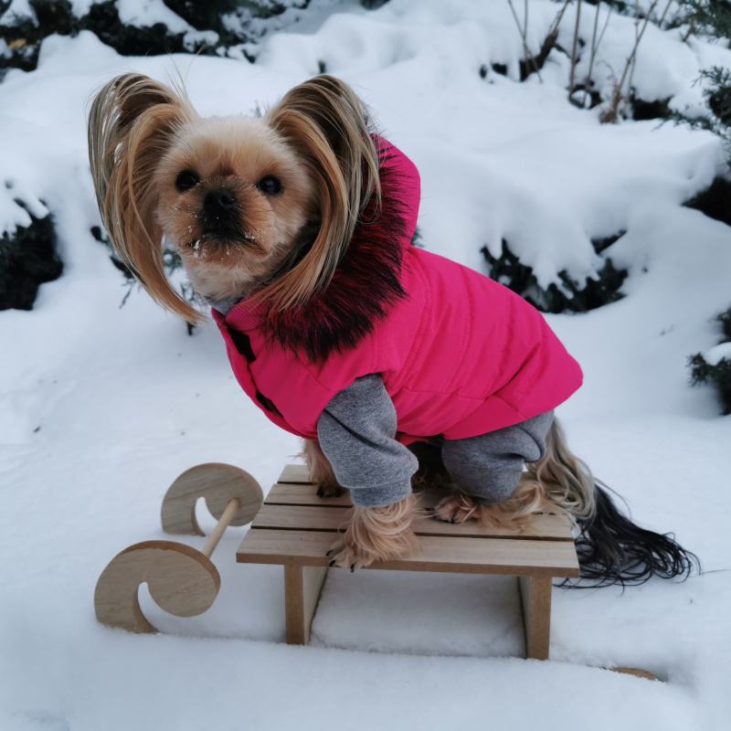 Zimní obleček pro psa s kožešinou růžový Lilly