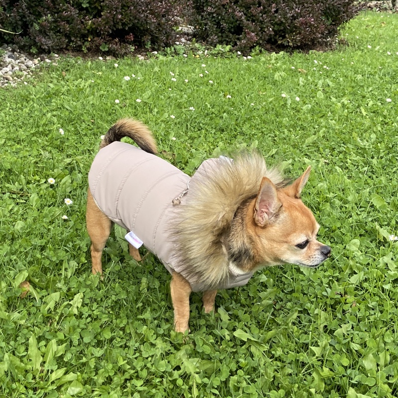 Zimní obleček pro psa s kožešinou bílá káva