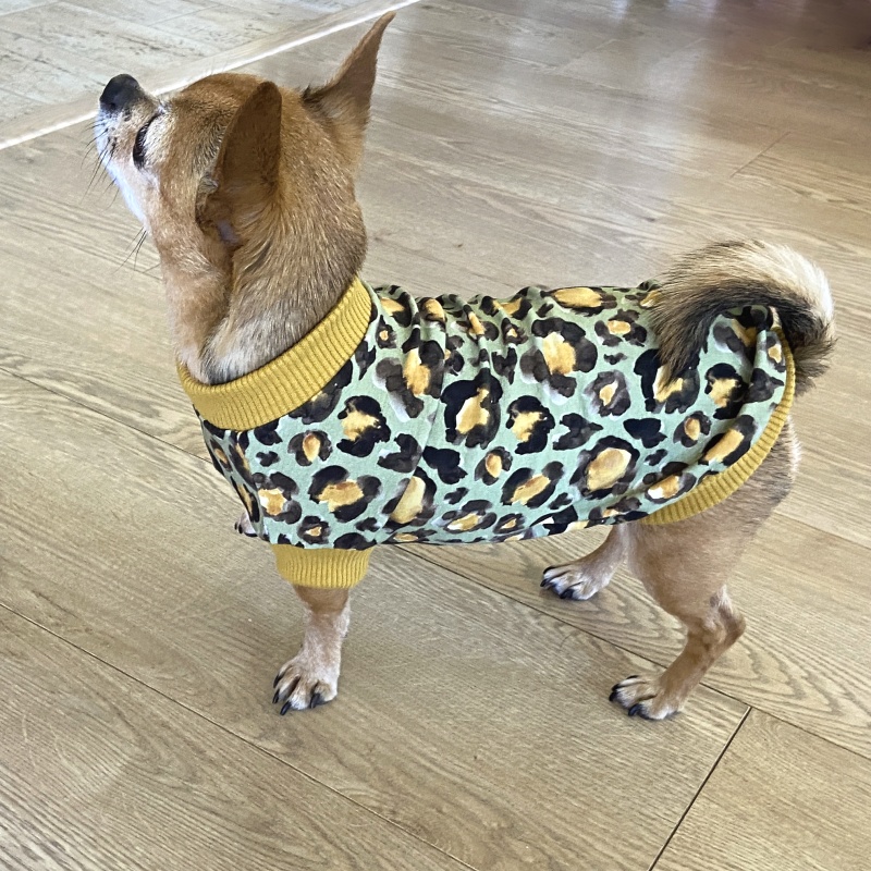 Tričko pro psa Apolonia zelené