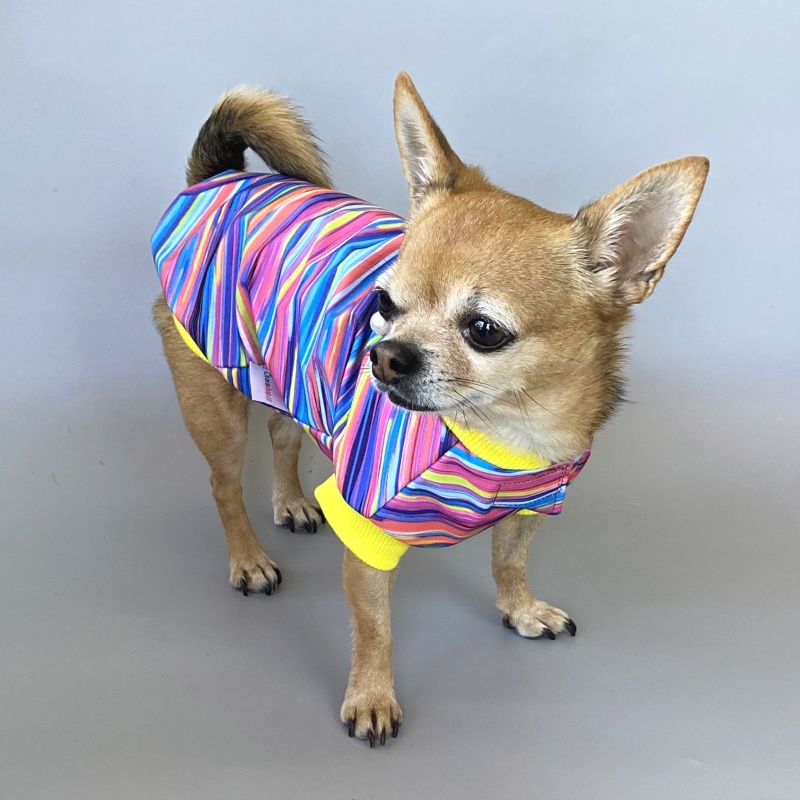 Letní funkční softshellový obleček pro psa Adan, barevné pásky