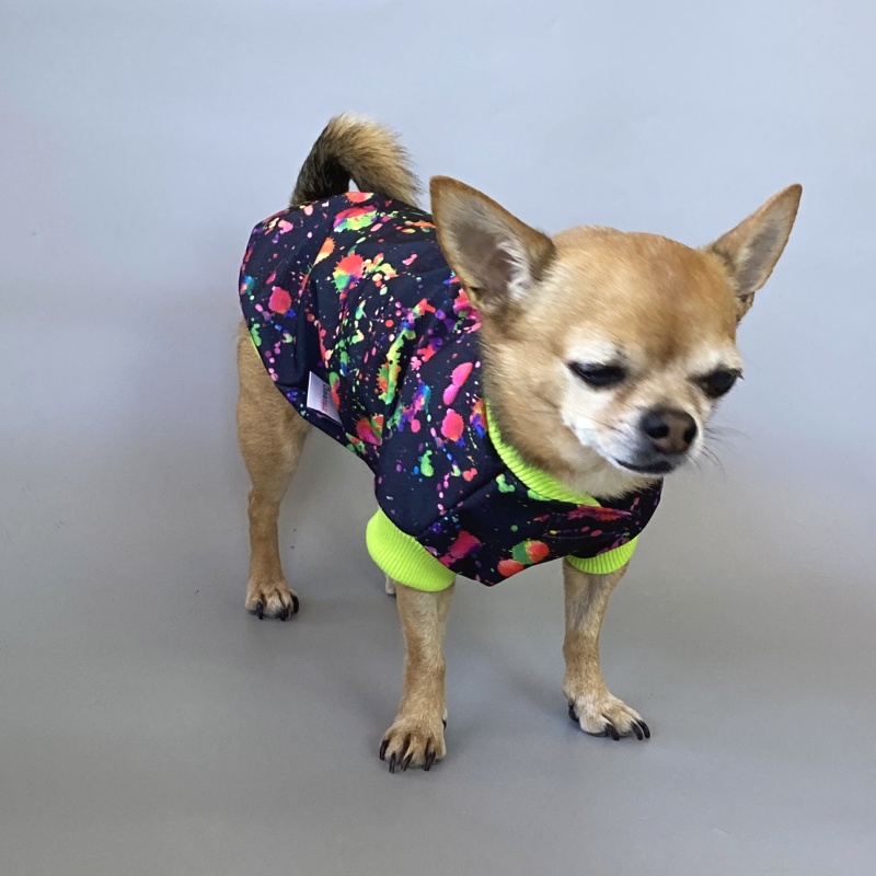 Letní funkční softshellový obleček pro psa Albert, neon cákance