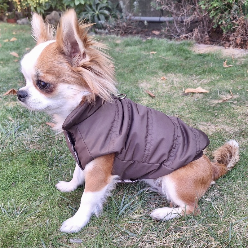 Celoroční obleček pro psa Elizabet, tm. čokoláda