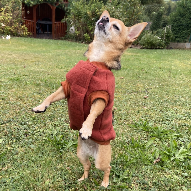 Fleecová mikina pro psa Cezar, skořicová