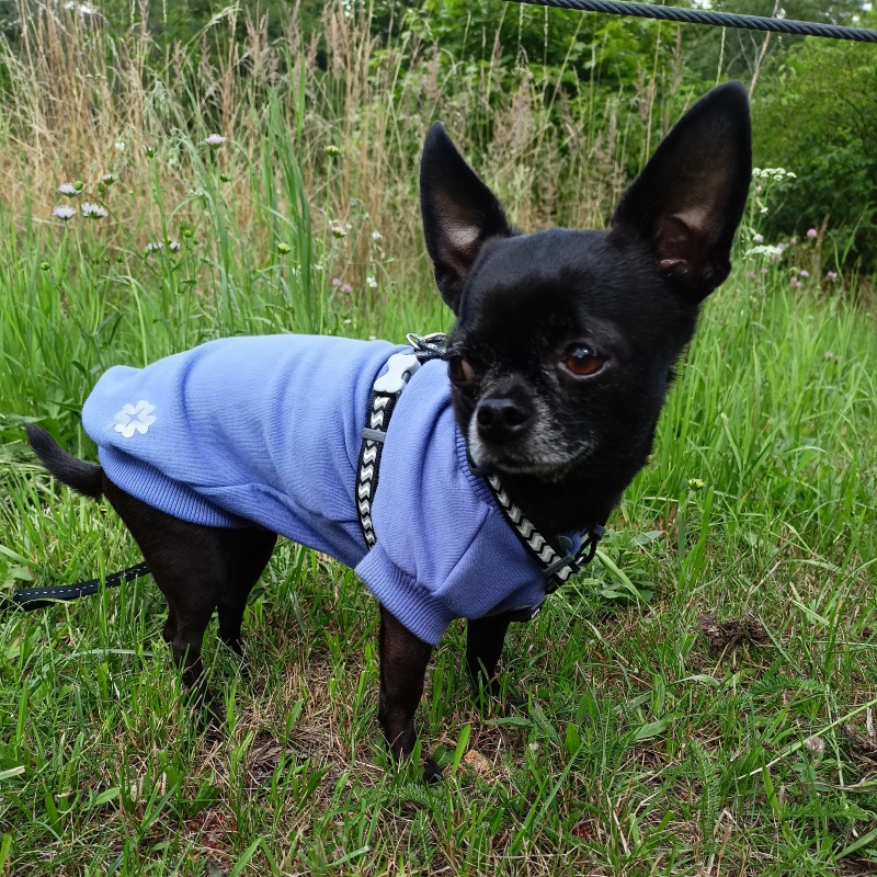 Bavlněná tepláková mikina pro psa Camila, Very Pery