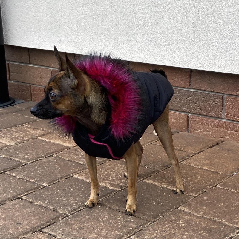 Zimní obleček pro psa s kožešinou Ebby černý