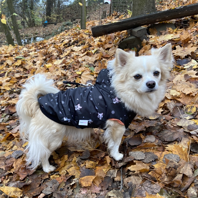 Celoroční šusťákovka pro psa Garci, černá s potiskem