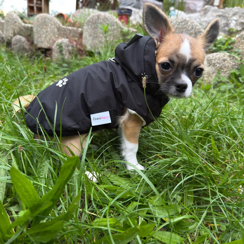 Celoroční šusťákovka pro psa Valbuena, černá