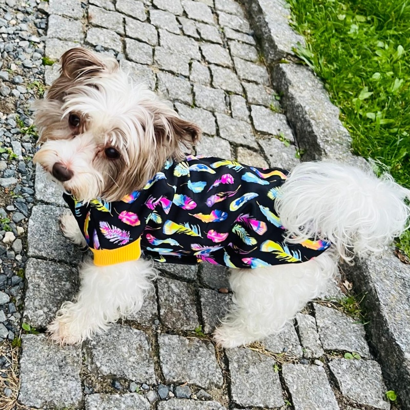 Funkční zimní softshellová pláštěnka pro psy – Barevná peříčka