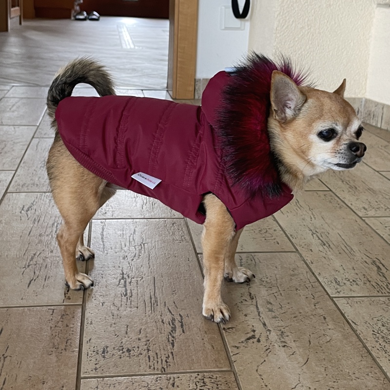 Obleček pro psa s kožešinou šitý na míru, Carmen- bordo