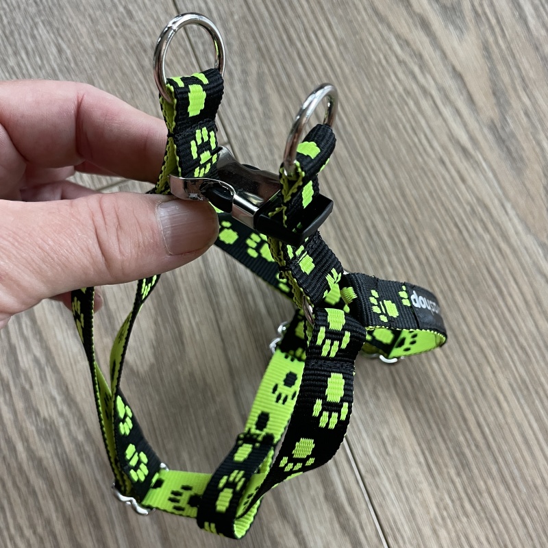 Popruhový postroj pro malá plemena s váhou 2–3,5 kg, neon zelený