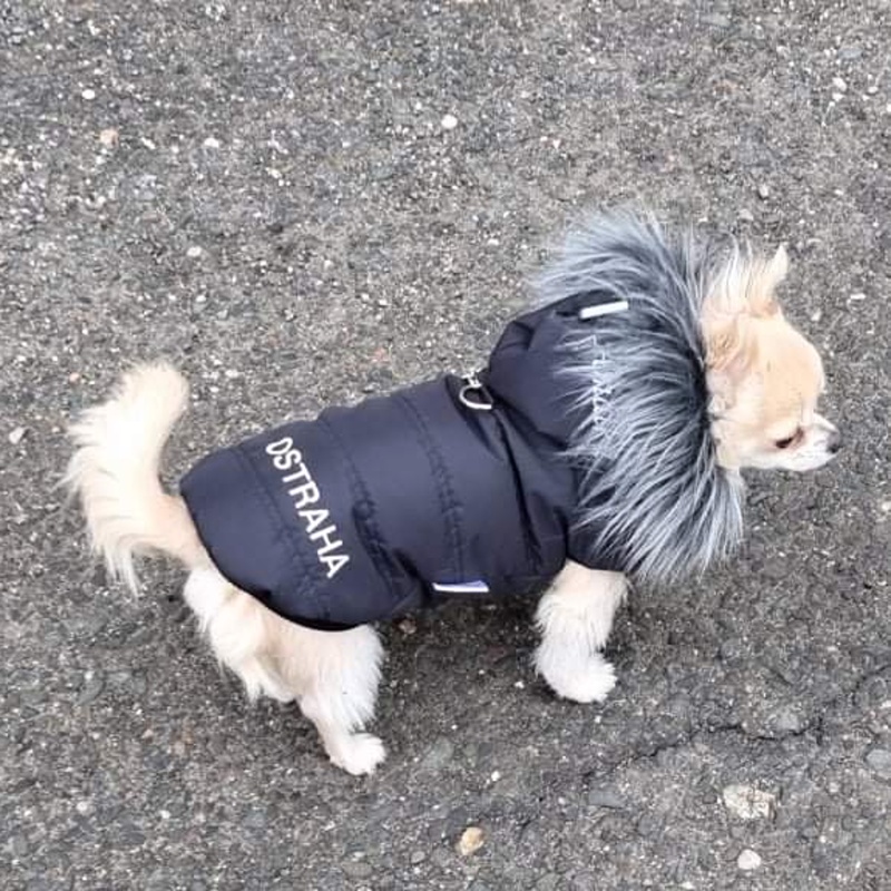 Luxusní zimní obleček pro psa černý Teddy