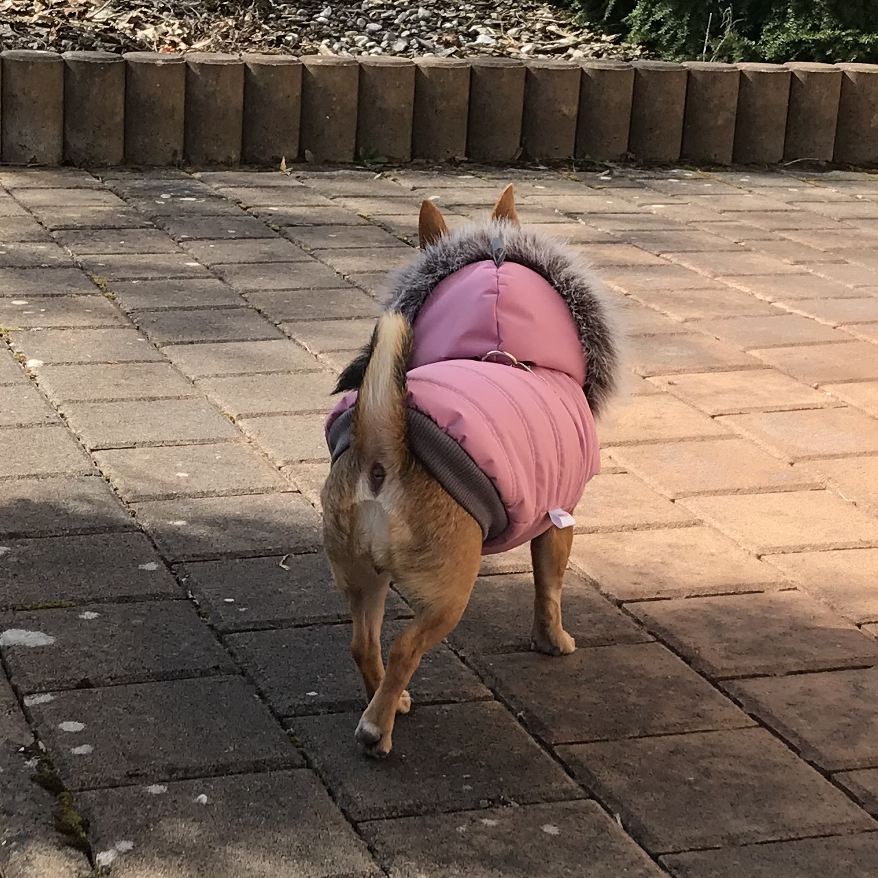 Obleček pro psa s kožešinou Maria pastelově starorůžový